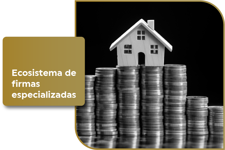 Ecosistema de firmas especializadas